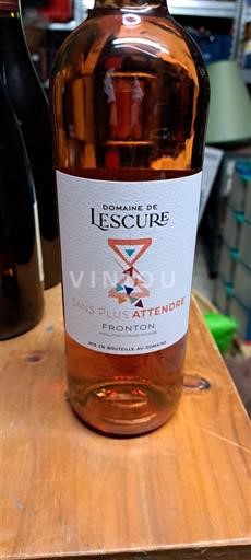 Tây Nam Fronton Domaine Lescure Sans plus attendre 2023