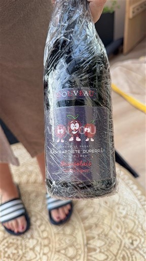 Beaujolais Beaujolais Nouveau Jean-Baptiste Duperray Nouveau 2022