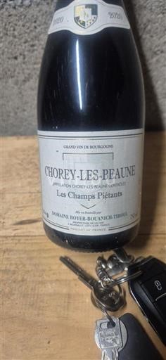 Bourgogne Chorey-lès-Beaune Domaine Boyer-bouanich-tiroul Les Champs Pigeats 2020