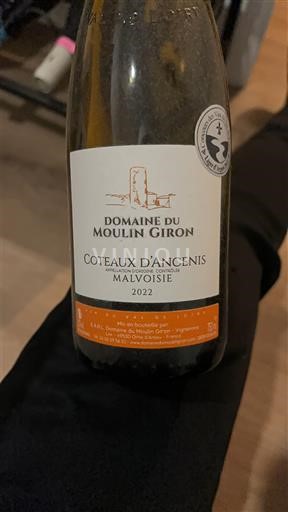 Vinos Blanc sec Malvoisie Domaine Moulin Giron 2022 Francia Valle del Loira Coteaux de Ancenis AOC