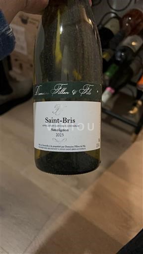 Borgogna Saint-Bris Domaine Follin et Fils 2023