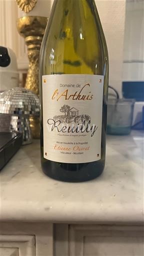 Údolí Loiry Reuilly Domaine L'Arthuis 2020