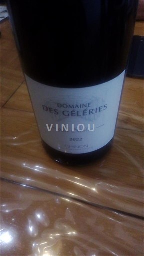 Valle del Loira Chinon Domaine Des Geleries La Côtée 2022