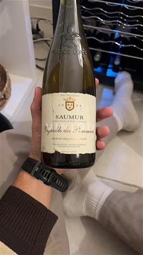 Loire-dalen Saumur Vignoble des Pommiers 2008