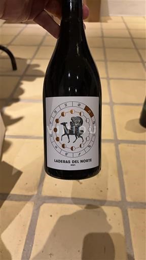 Vinos Rouge sec Laderas del Norte 2021 España Aragón Vino de España