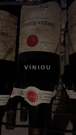 Rona dolina Crozes-hermitage Crozes-Hermitage 2021