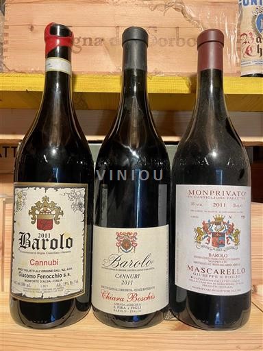 Vine Rouge sec Cannubi Azienda Chiara Boschis 2011 Italien Piemonte Barolo DOC