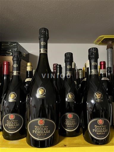 Tridentsko-Horní Adiže Giulio Ferrari Collezione Riserva del Fondatore 2001