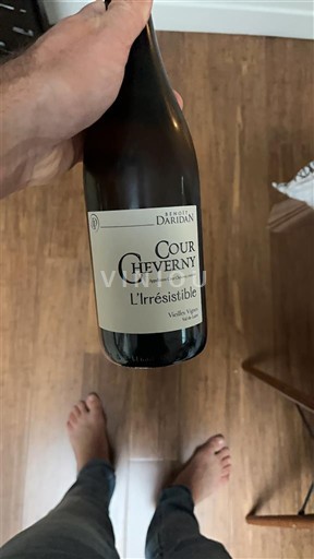 Loire-dalen Cour-cheverny Domaine Daridan L'Irrésistible 2018