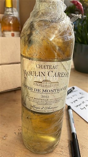 Zuidwest-Frankrijk Côtes-de-montravel Château Moulin Caresse 2013