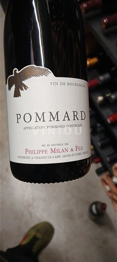 Borgoña Pommard Philippe Milan & Fils 2022