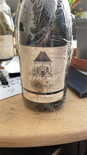 Thung lũng sông Loire Chinon M. Plouzeau 2011