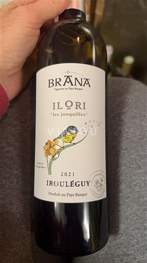 Tây Nam Irouléguy Brana Ilori les jonquilles 2021