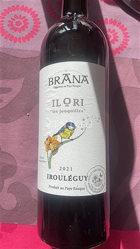 Sud-Ouest Irouléguy Brana Ilori les jonquilles 2021