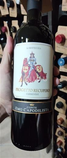 Veneto Conte Emo Capodilista Progetto Recupero 2022