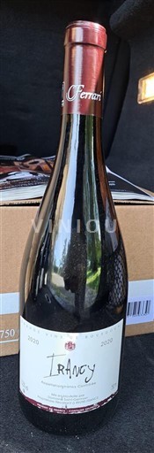 Bourgogne Irancy Férrand 2020