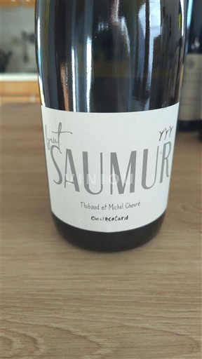 Vini Blanc sec Brut Saumur Clos de l' écotard Thibaud et Michel Chevré 2022 Francia Valle della Loira Saumur AOC