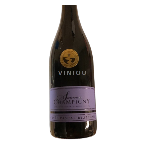 Valle del Loira Saumur-Champigny Château D’Avrillé Pascal Biotteau Sin añada