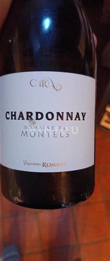 Tây Nam Côtes du Lot Domaine Montels Chardonnay Không niên vụ