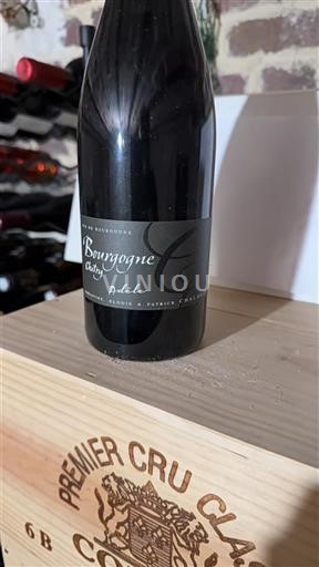 Bourgogne Bourgogne Chitry Christine, Elodie & Patrick Chalmeau Adèle 2020