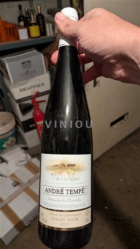 Elsass André Tempé Domaine du Marchéleux 2021