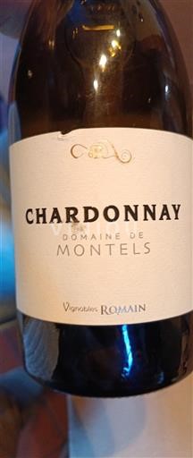Tây Nam Côtes du Tarn Domaine Montels Chardonnay 2022