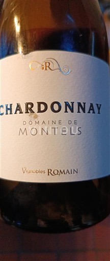 Tây Nam Côtes du Lot Domaine Montels Chardonnay Không niên vụ