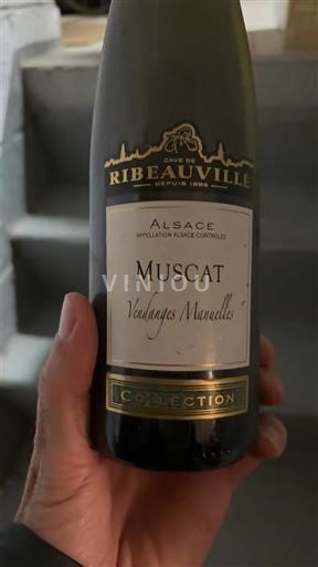 Alsace Cave de Ribeauvillé Vendanges Manuelles Không niên vụ
