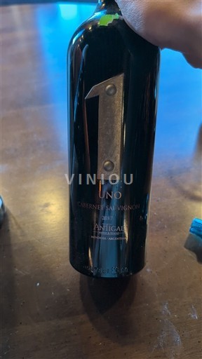 Mendoza Antigal UNO 2017