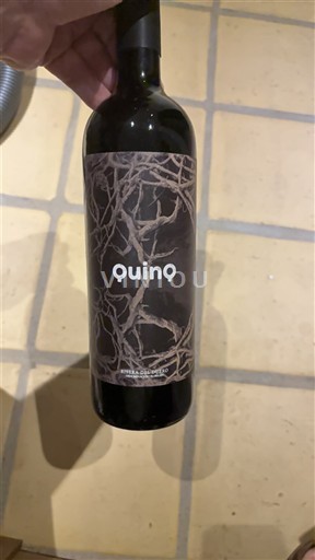 Castilien og León Ribera del Duero Valdrinal QuinQ 2015