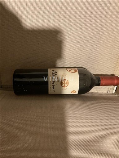 Thung lũng Aconcagua Aconcagua Andes Château Alianor Alunaviva 2002