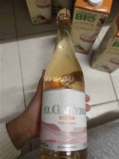 Asturia Määrittelemätön El Gaitero Sidra Villaviciosa Ei vuosikertaa