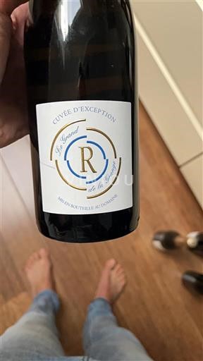 Loire-dalen Muscadet-Sèvre-et-Maine Domaine Raphaël Luneau Le Grand R 2019