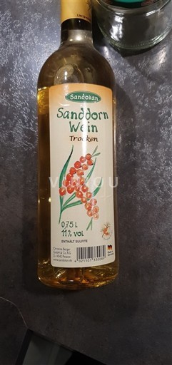 Baden Sandokan Sanddorn Wein Trocken 2023