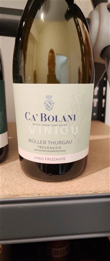 Veneto Määrittelemätön Ca' Bolani Müller Thurgau Ei vuosikertaa