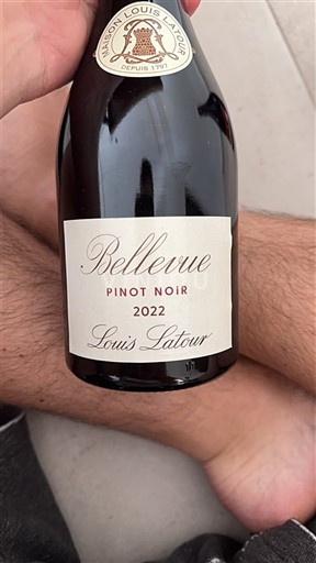 Bourgogne Louis Latour Bellevue 2022