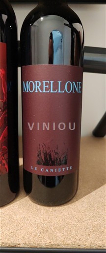 Marche Wines Rosso Piceno Le Caniette Morellone 2017