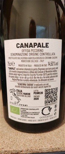 Marche Centanni Giacomo Canapale 2020