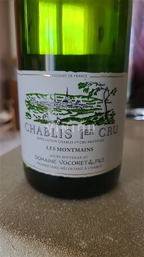 Borgoña Chablis Premier Cru Premier Cru Domaine Vocoret & Fils Les Montmains 2022