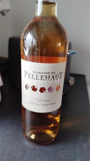 Tây Nam Côtes de Gascogne Domaine Pellehaut L'Été Gascon Không niên vụ