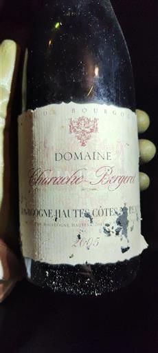 Bourgogne Ikke specificeret Domaine Chavaroche-Borgnat 2005