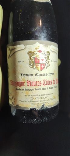 Bourgogne Domaine Capuano-Ferreri 2005