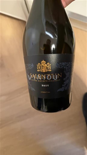 Мендоза Salentein Exceptionnelle Non Millésimé