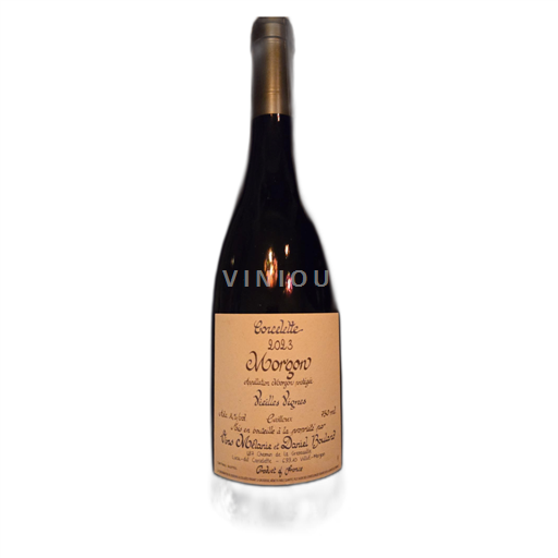 Beaujolais Morgon Mélanie et Daniel Bouland Corcelette Vieilles Vignes 2023
