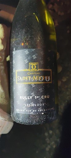 Bourgondië Niet gespecificeerd Premier Cru Château Saint-Michel Les Cloux 2008