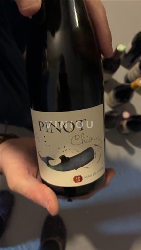 Languedoc a Roussillon Pays d'Oc Mas du Chêne Pinot Chic 2019