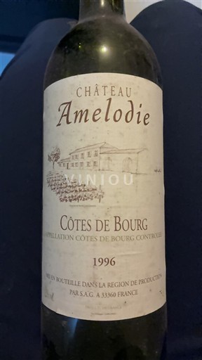Burdeos Côtes-de-bourg Château Amelodie 1996