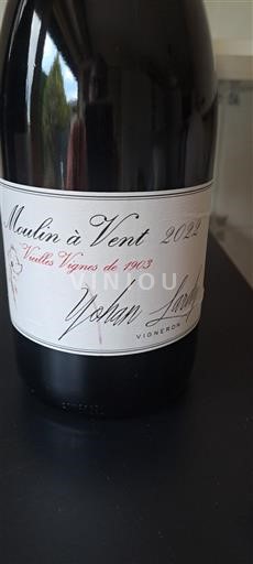 Beaujolais Moulin-à-vent Yohan Lardy Vieilles Vignes de 1903 2022