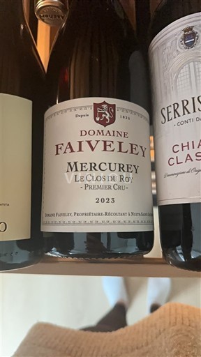 Bourgondië Mercurey Premier Cru Domaine Faiveley Le Clos du Roy - Premier Cru 2023