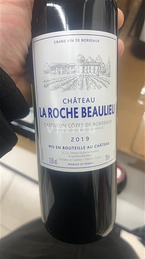 Bordeaux Castillon-côtes-de-bordeaux Château La Roche Beaulieu 2019